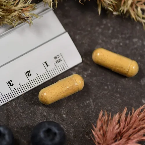 Multi Komplex Kapseln 68 g