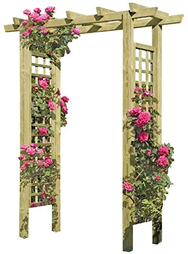 Eingangspergola aus Holz mit Weinranke