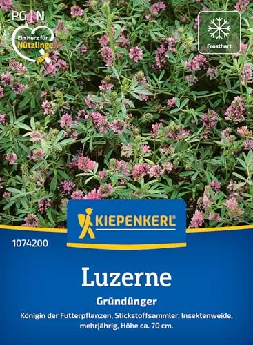 Kiepenkerl Luzernensamen Saat-Alfalfa 1074200 von Kiepenkerl