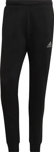 Adidas Hosen M FL Recbos PT1, HP1947, Größe: 164