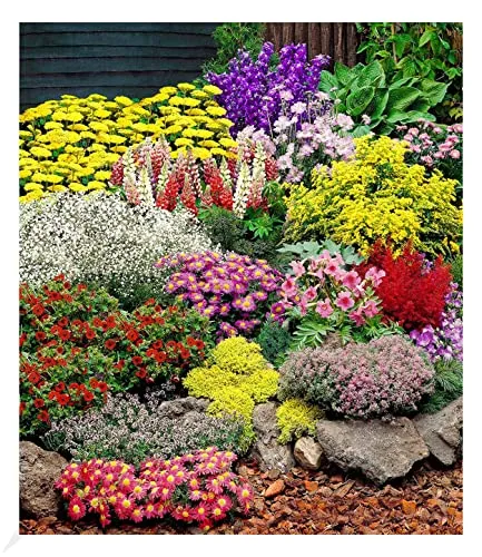 Produktbild BALDUR Garten Großer Staudengarten mit 14 Pflanzen