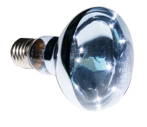 ReptiZoo Terrarium ReptiZoo Neodym Spot (UVA) Heizlampe 100 Watt (B80100)