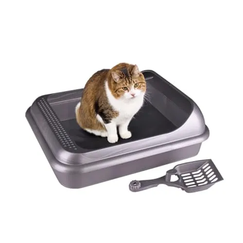 Katzentoilette Schalentoilette Katzenklo Kätzchen WC Hochrand abnehmbar Schaufel Grau