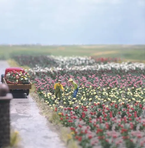 Busch 1205 H0 120 Rosen Bausatz von Busch