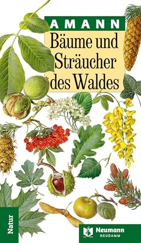 Bäume und Sträucher des Waldes - Umfassender Ratgeber über heimische Bäume und Sträucher, ideal für Gartenliebhaber und Naturliebhaber, die ihre Grünflächen bereichern möchten.