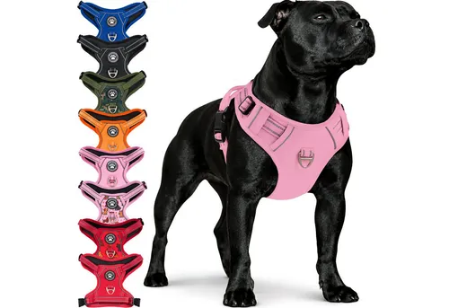 Reichstadt Hunde-Geschirr RS Pets Norwegergeschirr 25RSP083, Polyester, atmungsaktives Netzgewebe und robuster Oxford-Stoff