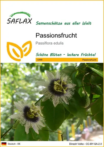 SAFLAX Blumensamen SAFLAX - Samen - Passionsfrucht