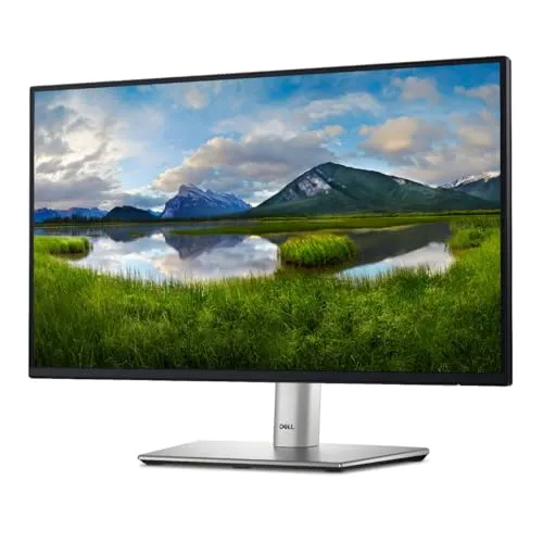 Dell P2425H 24