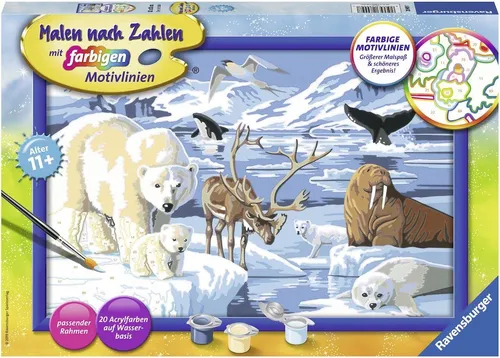 Ravensburger Tiere der Arktis 28909 Malen nach Zahlen - Kreatives Malen nach Zahlen Set für Kinder ab 11 Jahren. Mit einem tollen Wintermotiv fördert es die Feinmotorik und die Kreativität. Ideal für unvergessliche Malstunden.