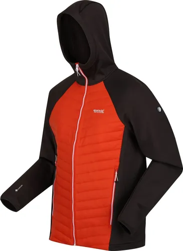 Regatta Herren Andreson Vii Hybridjacke - Orange, XXL - Outdoor Softshelljacke für Herren mit wasserabweisender Warmloft-Isolierung, Extol Stretch für optimale Bewegungsfreiheit und leicht komprimierbar für unterwegs.