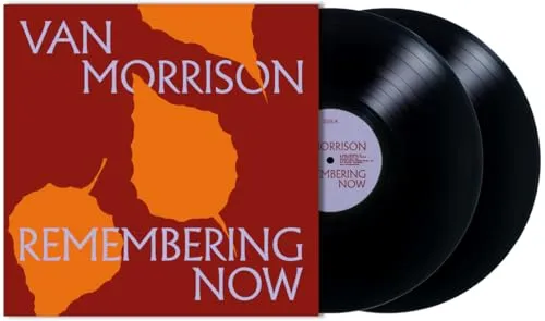 Remembering Now (2LP) von UNIVERSAL MUSIC GROUP