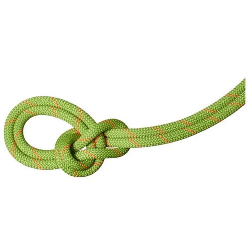 Mammut
