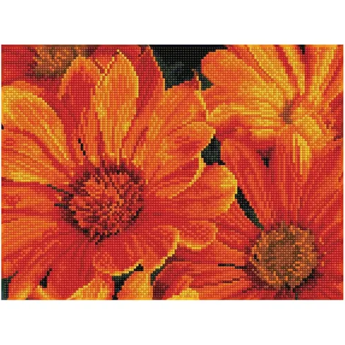 DIAMOND DOTZ - Diamond Painting Mittagsblume - Kreativität: Hochwertiges Diamond Painting Set mit 13-facettierte Strasssteinen für intensiven Glitzereffekt, ideal für Anfänger und Fortgeschrittene von 4-99 Jahren.