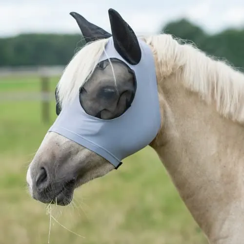 Fliegenmaske TWIN FIT FLEXI - Fliegenschutz für Pferde, BUSSE Fliegenmaske TWIN FIT FLEXI für Warmblut, bietet optimalen Schutz vor Insekten und ist besonders komfortabel durch flexibles Material.