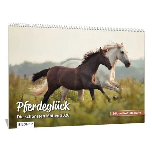 Pferde Kalender 2026 Pferdeglück! Die schönsten Pferdemotive und Aufnahmen 2026: Hochwertiger Wandkalender DIN A3 quer / Kalender / Tierkalender / Pferdekalender – Edition Profifotografie