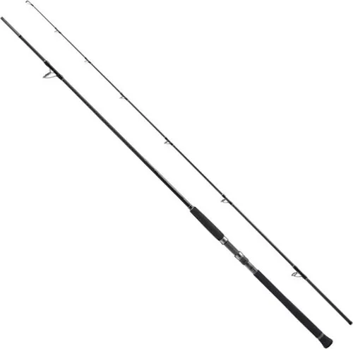 Shimano Fishing Xr S100m Spinnrute Silber 3.05 m / 56 g Silber 3.05 m