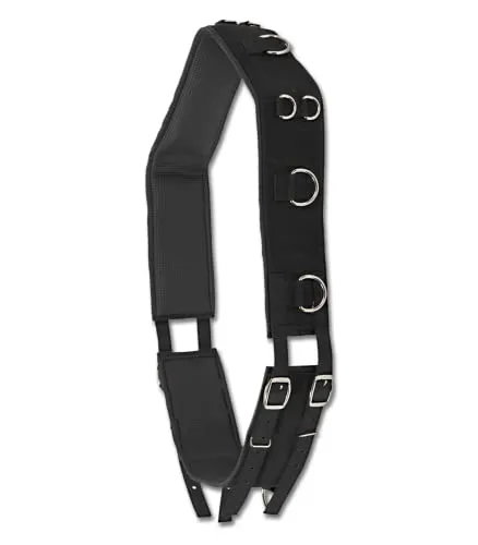 WALDHAUSEN Longiergurt Nylon - Sonstige, 13 Ringe für flexible Longe-Führung und höchste Komfort durch Innenpolsterung aus softem Gitterschaum.