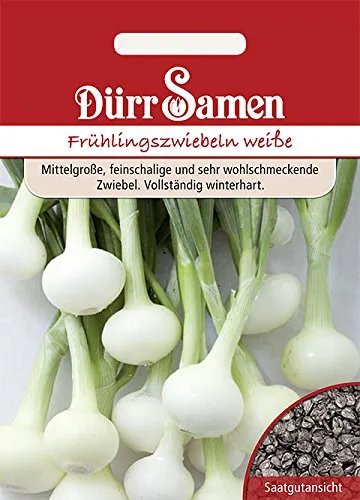 Dürr-Samen - Frühlingszwiebeln Vaugirard Weiße Saatgut