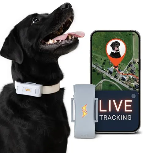 PAJ GPS Tracker für Hunde
