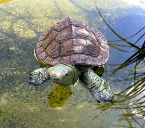 LB H&F Schwimmfigur Teichfigur Schildkröte Teichdeko Miniteich Schwimmtier Gartenteich Dekofigur Garten Teich