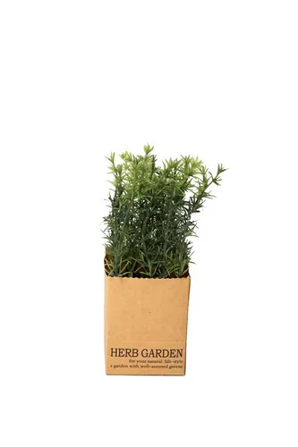 Künstliche Kräuter Rosmarien 18cm Kunstpflanze im Papiertopf Deko Kräutertopf