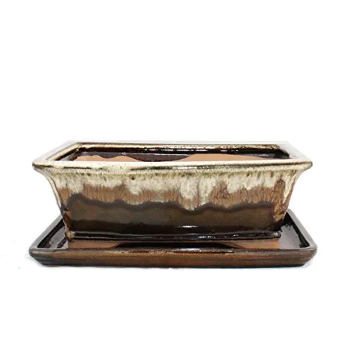 Exotenherz Bonsai-Schale G93 - Rechteckig, Braun/Beige, 25,5x20cm - Elegante, glasierte Bonsai-Schale in schimmerndem Braun/Beige. Ideal für Zimmerbonsai, mit praktischen Entwässerungslöchern. Perfekte Größe: 25,5cm x 20cm x 9cm, hergestellt in Yixing.
