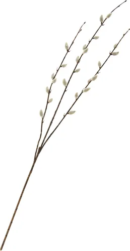 DPI Weidenkätzchen Zweig Cream 77 cm Dekoration Kunstpflanze 1 Stück