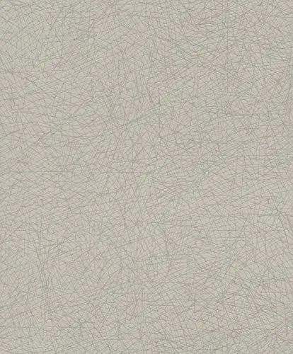 Rasch Tapeten Vliestapete (universell) Beige 10,05 m x 0,53 m #ROCKNROLLE 541366
