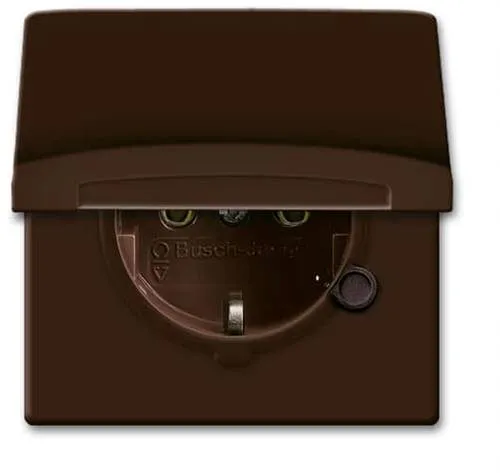 Busch-Jaeger 20EUGK-31-101 Steckdose - Unterputz mit Klappdeckel, farbenfroh und praktisch für jeden Raum