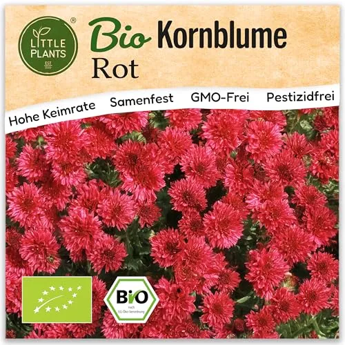 Little Plants BIO Kornblume Samen 150 Kornblumen Rot Blumensamen Samenfest für Blumengarten Blumen Samen für Balkon, Hochbeet und Garten