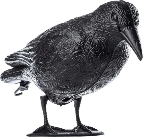 Schwarz Rabe, Taubenabwehr und Taubenschreck aus Kunststoff, Vogelabwehr, natürliche Schädlingsbekämpfung, Schutz vor lästigen Vögeln