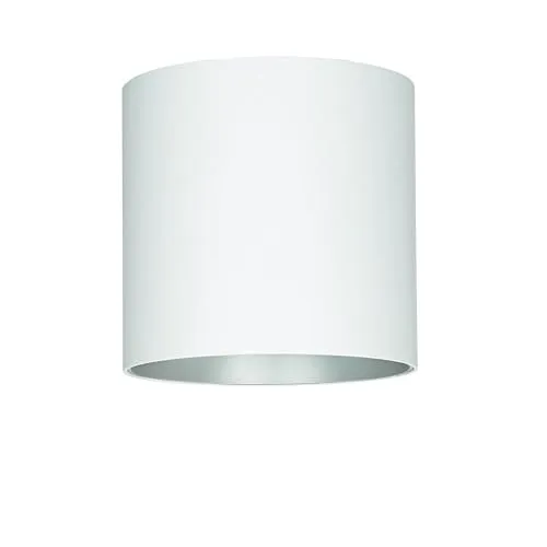 Licht-Erlebnisse XL Aufbaustrahler POINT - Moderner Deckenspot aus Metall in Weiß-Silber, flexibel dank wechselbarem GU10 Leuchtmittel. Ideal für Wohnzimmer, Flur oder Küche – für individuelle Lichtakzente.