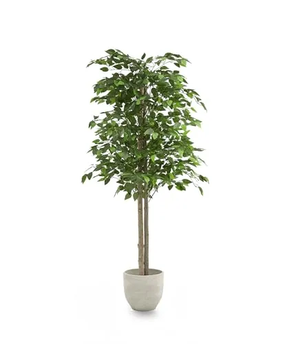Maia Shop | Ficus | Kunstpflanzen | Künstlicher Baum | Maße: 150 x 70 cm | Künstliche Pflanzen | Fake Plant | Plastik Pflanze | Ficus Benjamini | Deko | Deko Wohnzimmer