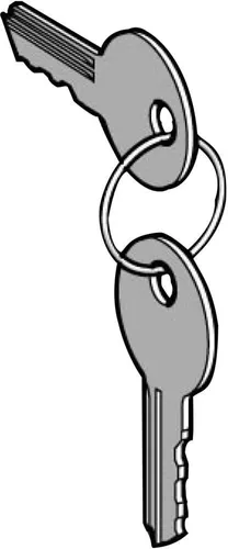 Schneider Electric Ersatzschlüssel ZBG3131A (VE2) Zubehör Ersatzschlüssel