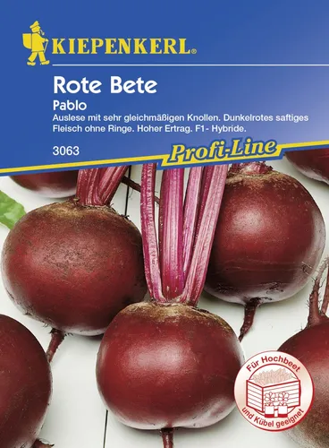 Kiepenkerl Rote Bete Pablo Beta vulgaris subsp. vulgaris, Inhalt: ca. 100 Pflanzen