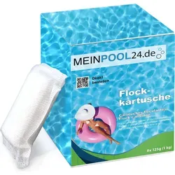 Flockkartusche 1 kg (8x125 g) für Pools Flockungsmittel Kartusche klares Wasser