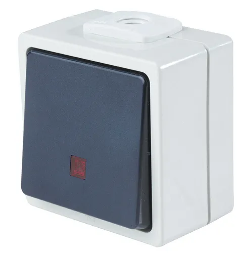 as-Schwabe 62453 | Taster beleuchtet (Schließer)