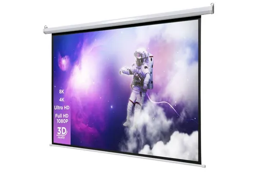 Celexon basic line Motorleinwand mit schwarzer Rückseite von celexon