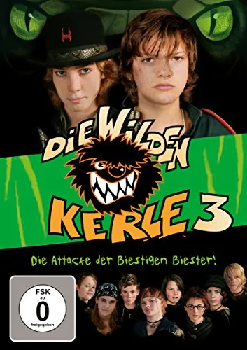 Die wilden Kerle 3