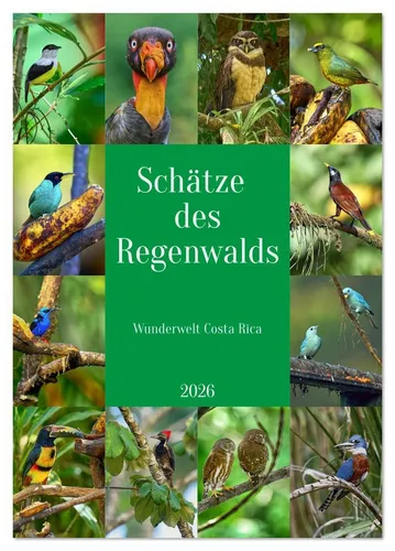 CALVENDO Wandkalender Schätze des Regenwalds (Tischkalender 2026 DIN A5 hoch), CALVENDO Mona