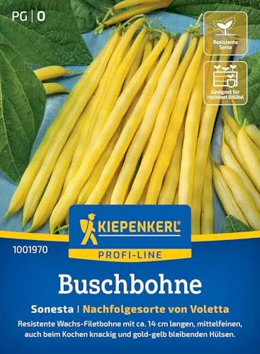 Kiepenkerl Profi-Line Buschbohnensamen Sonesta 1001970 - Gemüsesamen für eine resistente Wachs-Filetbohne mit ca. 14 cm langen Hülsen und Inhalt für 8 bis 10 lfd. Meter