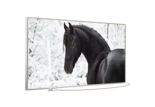 STEINFELD Heizsysteme Infrarotheizung Bild 750W, 120x60cm, Made in Germany, 7J Garantie, mit Thermostat, viele Motive