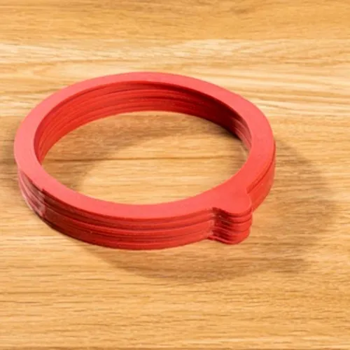 Einkochring Ersatzringe 10er Set von Haushalt International