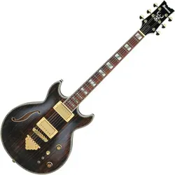 AR520HME-NT E-Gitarre