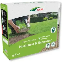 Cuxin DCM Rasensamen Nachsaat & Reparatur 2250 g - Rasensamen zur effektiven Reparatur von Rasenlücken und kahlen Stellen, mit schneller Keimung ab +5 °C und hoher Trittfestigkeit. Ideal für eine gesunde Rasenfläche!
