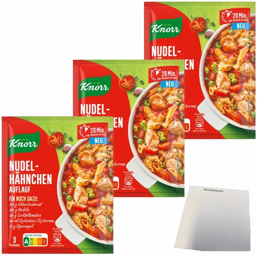 Knorr Fix Nudel-Hähnchen Auflauf 3er Pack 3x41g Packung usy Block