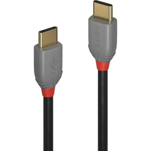 Lindy Typ C Kabel (2 m, USB 2.0) (36872)