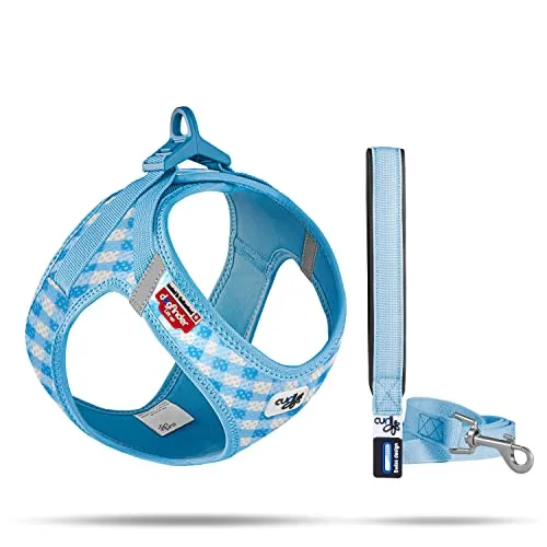 curli VEST HARNESS Air-Mesh SkyBlue-Caro M & BASIC LEASH L - Ergonomisches Hundegeschirr für optimalen Tragekomfort und eine sichere Leine mit gepolsterter Handschlaufe. Inklusive DogFinder ID für mehr Sicherheit und individuelle Befestigungsmöglichkeiten für Zubehör.