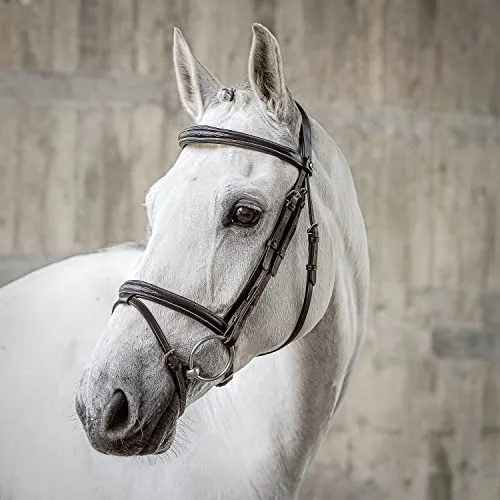 SUNRIDE Englisch kombinierte Trense für Pferde (London) in braun von SUNRIDE