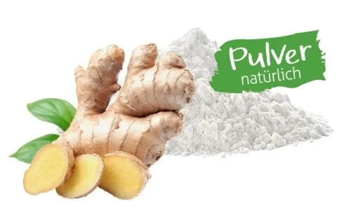 Ingwer - natürliches Pulver Lebensmittelaroma : 10 Gramm
